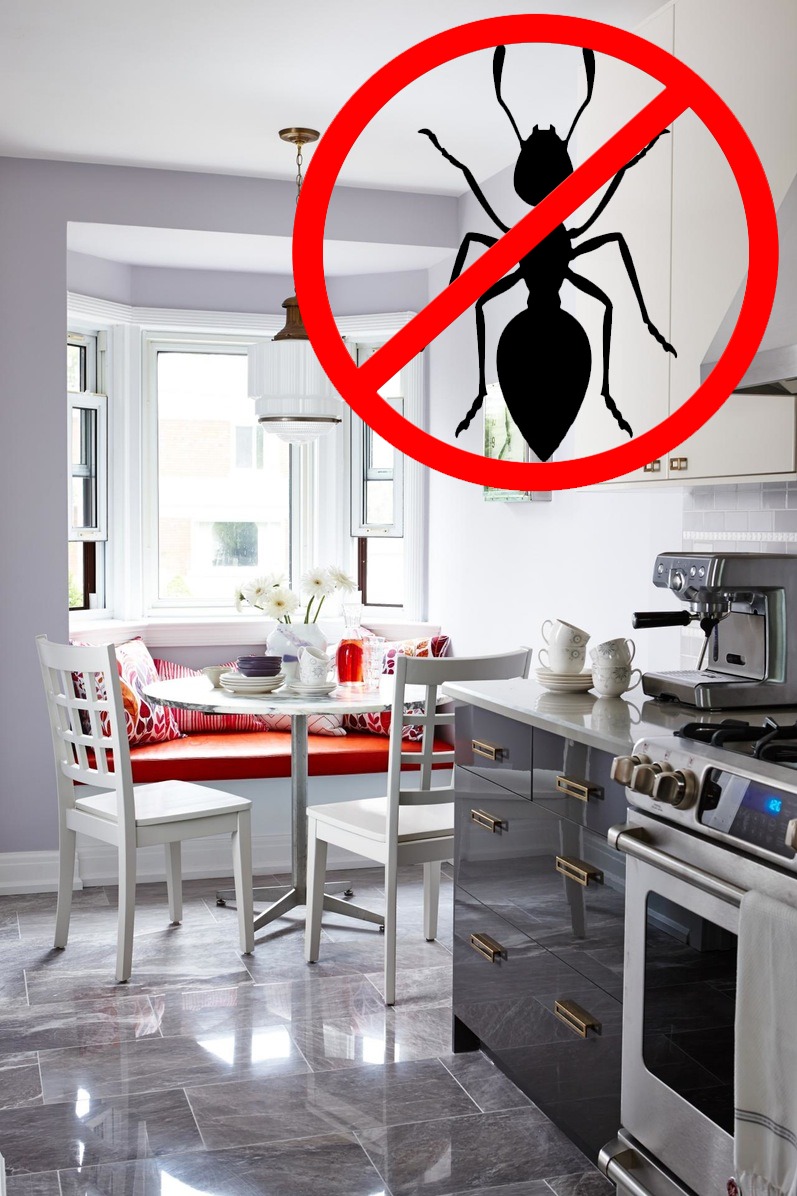 уничтожим муравья